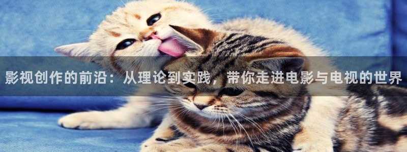 电影光棍网