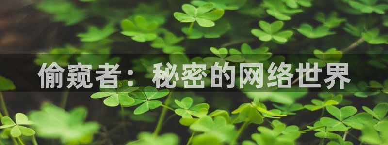 2017光棍影院