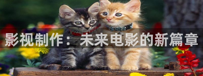 11光棍影院
