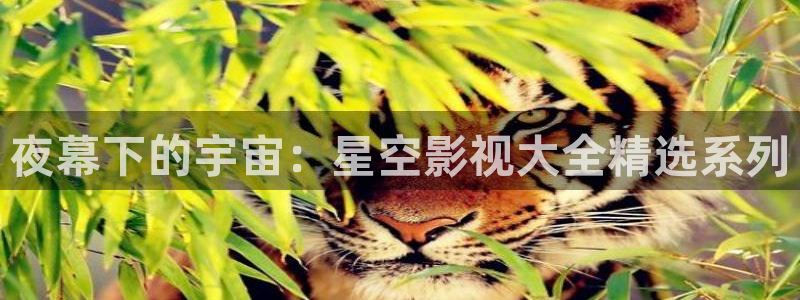 福利影院光棍影院