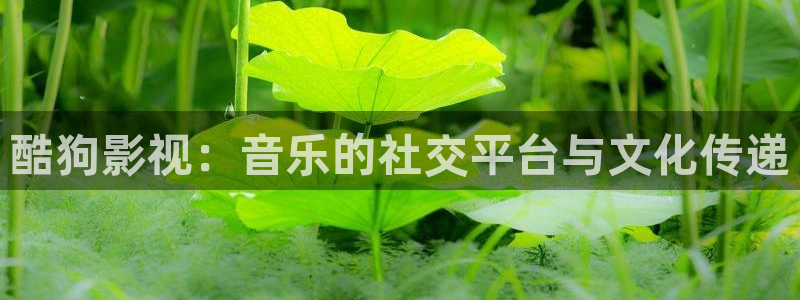 光棍影院光棍影院在线观看