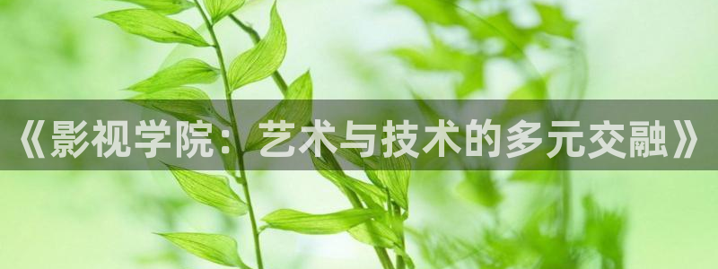 2021光棍影院